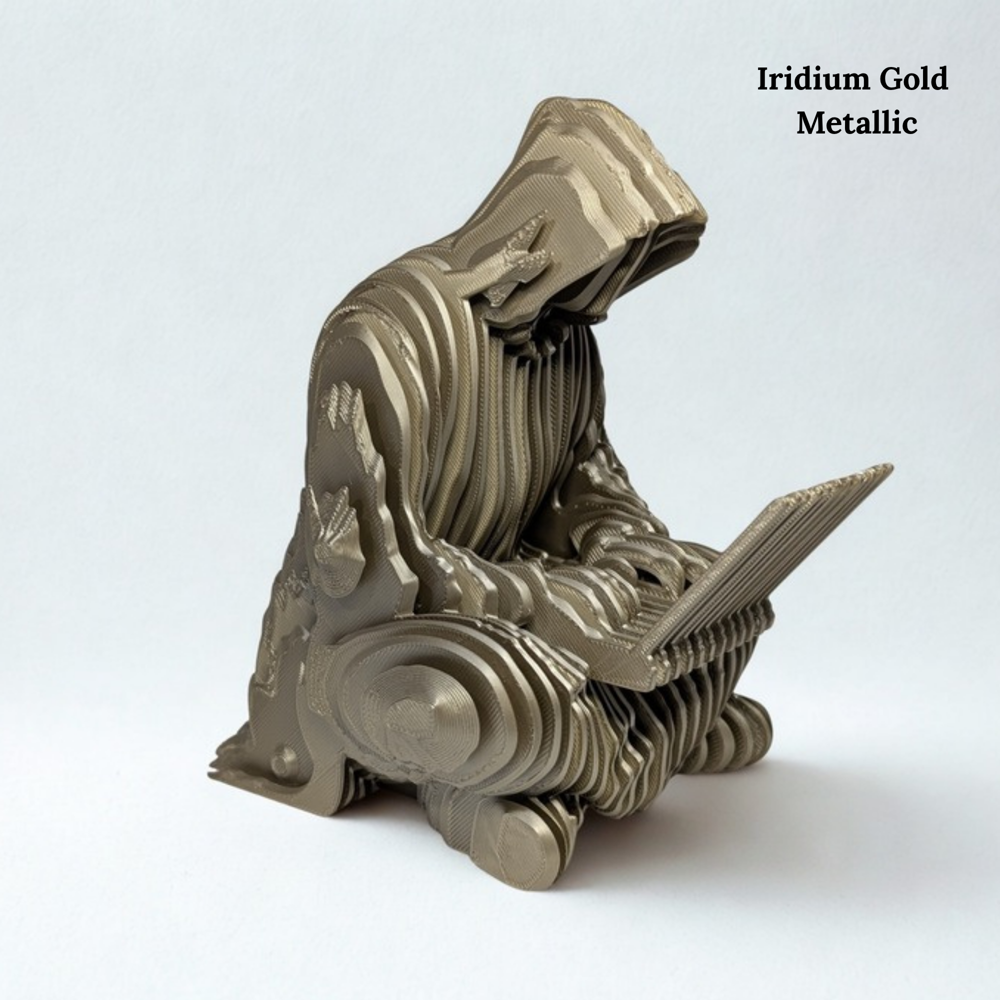 Ghost of Satoshi | Satoshi Nakamoto Optical Illusion Bitcoin Figure