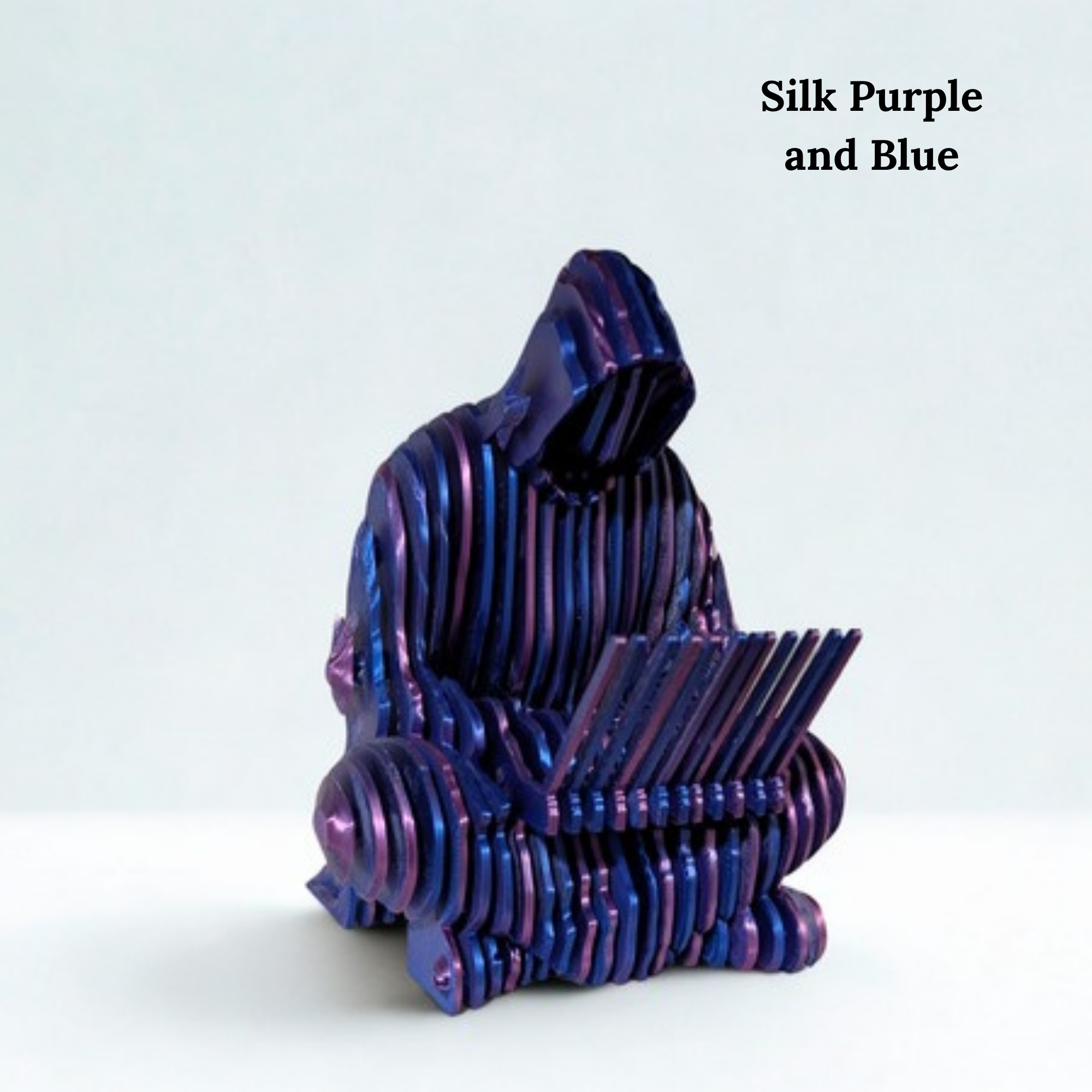 Ghost of Satoshi | Satoshi Nakamoto Optical Illusion Bitcoin Figure